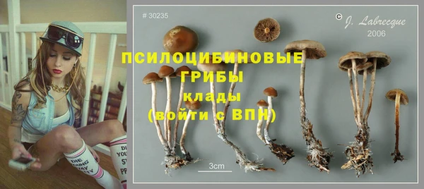 apvp Алзамай