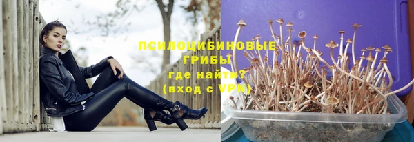 apvp Алзамай