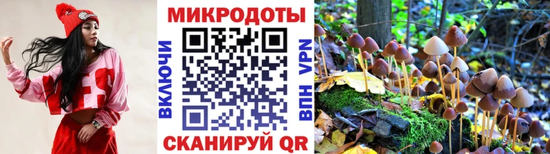Псилоцибиновые грибы мухоморы  Заволжск 